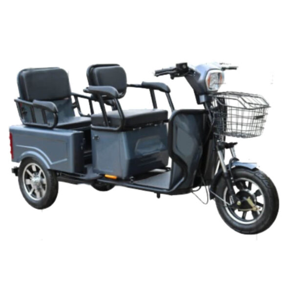 Front View Pushpak 3000 2-Passenger Recreational Mobility Scooter