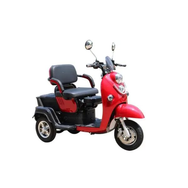 Front View Pushpak 1000 Dual/Single Passenger Recreational Mobility Scooter