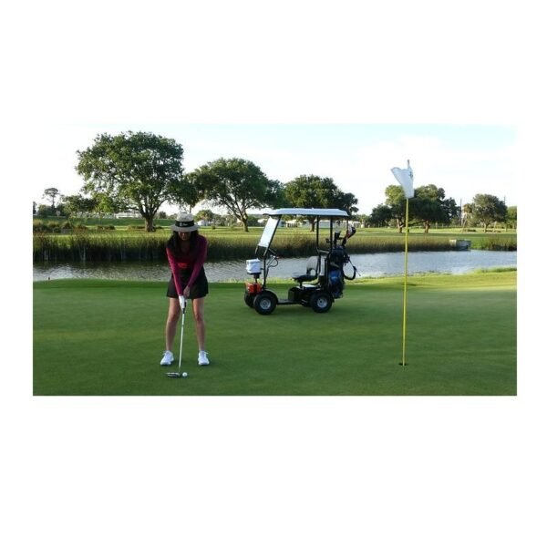 Live Style Image of Ninja ADA Canopy Version 2-in-1 Mobility Scooter & Golf Cart