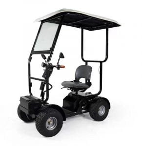 Ninja Ada 2 in 1 Canopy Version