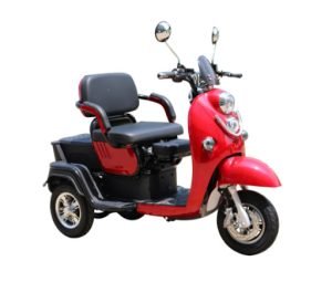 Pushpak 1000 Dual Passenger Fast Mobility