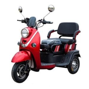 Pushpak 1000 Dual Passenger Fast Mobility