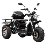 Black Daymak Boomerbeast 2D with rugged all-terrain tires.