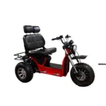 Boomerbeast 2D electric scooter with two seats, angled view.