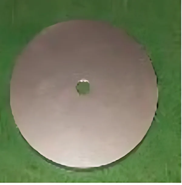 Front Wheel Plastic Cover Replacement Part for Afiscooter Afikim S3
