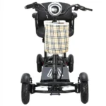 Front View of Bangeran Dragon Mobile EX Lightweight Foldable 4 Wheels Mobility Scooter
